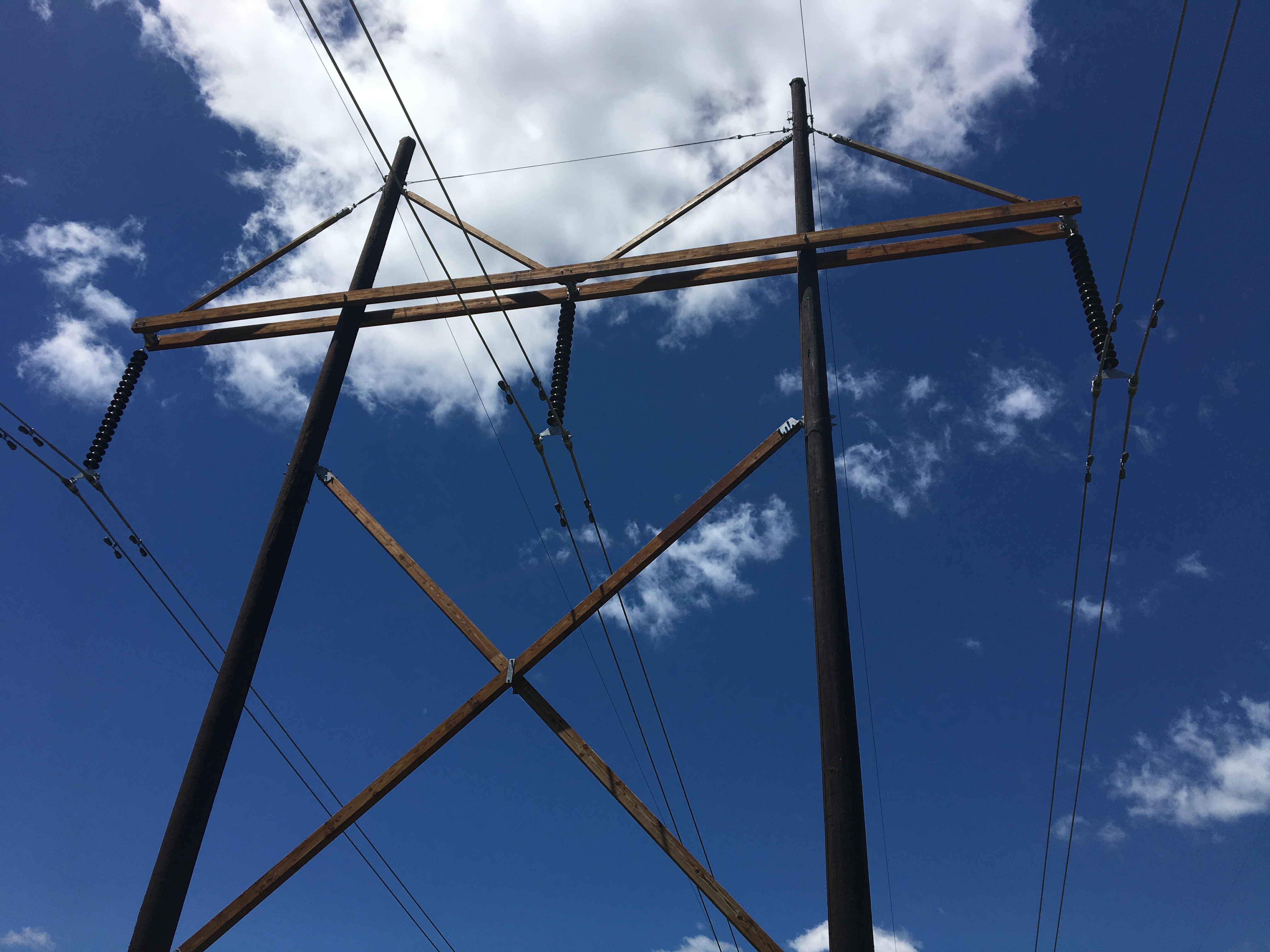 Wood Pole Management