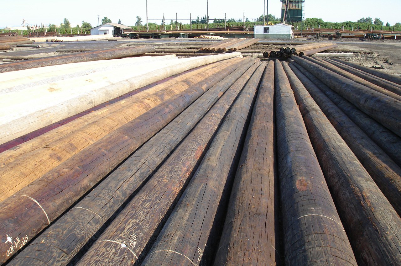 Wood Pole Management